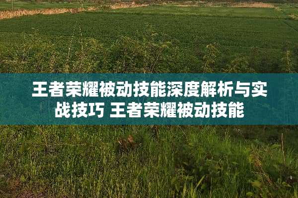 王者荣耀被动技能深度解析与实战技巧 王者荣耀被动技能 王者荣耀被动技能深度解析与实战技巧 王者荣耀被动技能