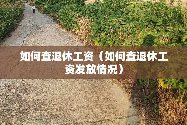 如何查退休工资(如何查退休工资发放情况) 如何查退休工资(如何查退休工资发放情况)