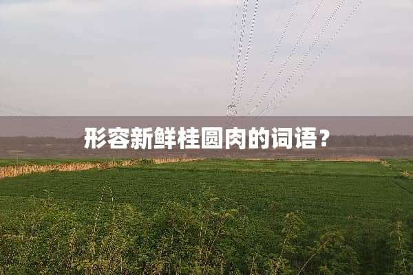 形容新鲜桂圆肉的词语？