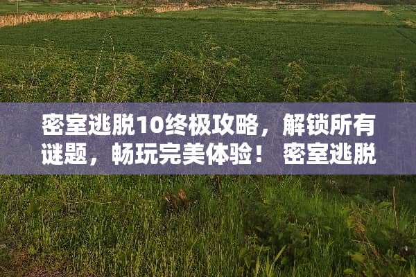 密室逃脱10终极攻略，解锁所有谜题，畅玩完美体验！ 密室逃脱10攻略