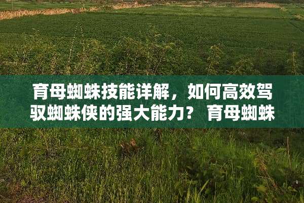 育母蜘蛛技能详解，如何高效驾驭蜘蛛侠的强大能力？ 育母蜘蛛技能