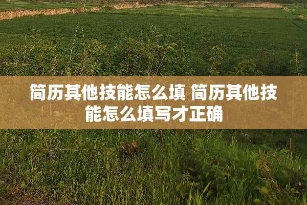 简历其他技能怎么填 简历其他技能怎么填写才正确 简历其他技能怎么填 简历其他技能怎么填写才正确