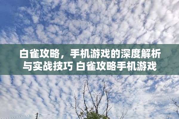 白雀攻略，手机游戏的深度解析与实战技巧 白雀攻略手机游戏