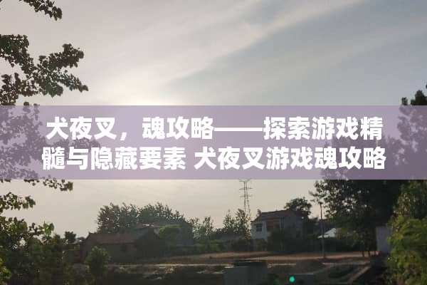犬夜叉，魂攻略——探索游戏精髓与隐藏要素 犬夜叉游戏魂攻略