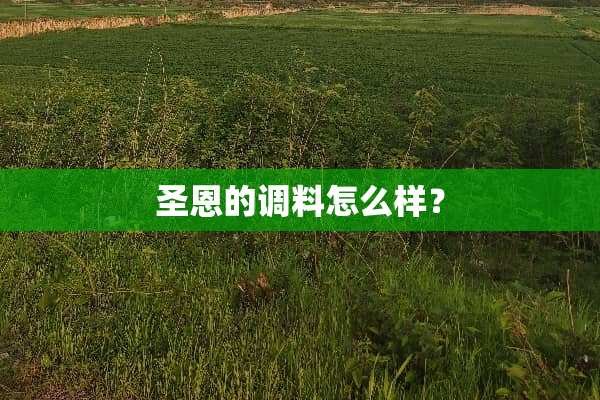 圣恩的调料怎么样？