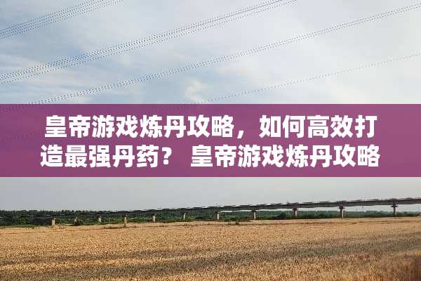 皇帝游戏炼丹攻略，如何高效打造最强丹药？ 皇帝游戏炼丹攻略
