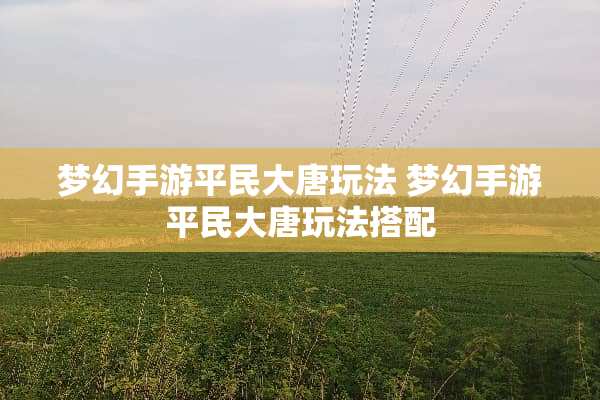 梦幻手游平民大唐玩法 梦幻手游平民大唐玩法搭配 梦幻手游平民大唐玩法 梦幻手游平民大唐玩法搭配