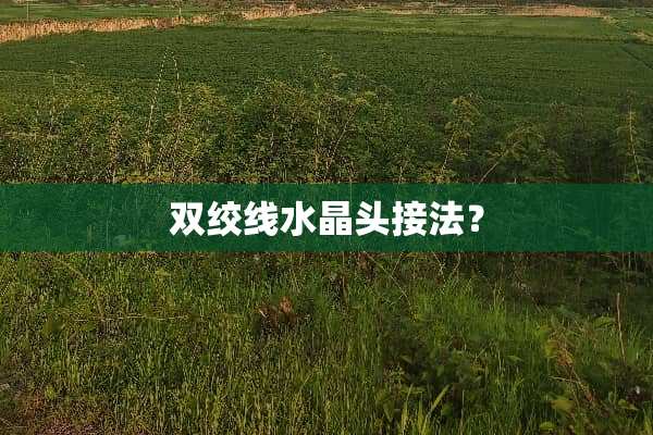 双绞线水晶头接法？