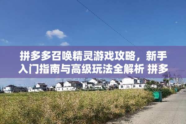 拼多多召唤精灵游戏攻略,新手入门指南与高级玩法全解析 拼多多召唤精灵游戏攻略 拼多多召唤精灵游戏攻略,新手入门指南与高级玩法全解析 拼多多召唤精灵游戏攻略