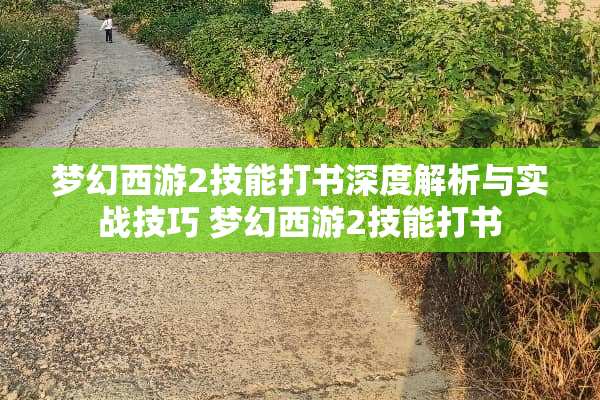 梦幻西游2技能打书深度解析与实战技巧 梦幻西游2技能打书 梦幻西游2技能打书深度解析与实战技巧 梦幻西游2技能打书
