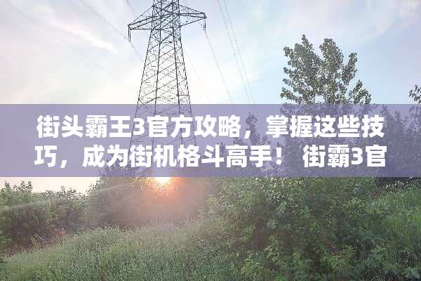 街头**3官方攻略,掌握这些技巧,成为街机格斗高手! 街霸3官方攻略游戏 街头**3官方攻略,掌握这些技巧,成为街机格斗高手! 街霸3官方攻略游戏