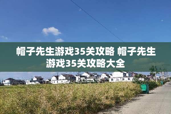帽子先生游戏35关攻略 帽子先生游戏35关攻略大全 帽子先生游戏35关攻略 帽子先生游戏35关攻略大全