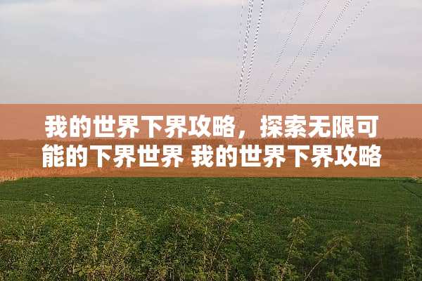 我的世界下界攻略,探索无限可能的下界世界 我的世界下界攻略 我的世界下界攻略,探索无限可能的下界世界 我的世界下界攻略