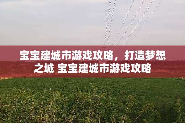 宝宝建城市游戏攻略，打造梦想之城 宝宝建城市游戏攻略