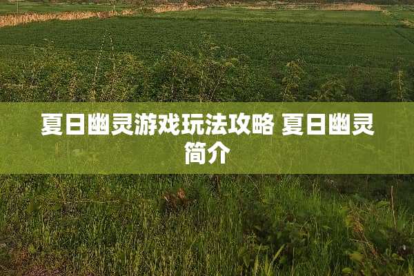 夏日幽灵游戏玩法攻略 夏日幽灵简介 夏日幽灵游戏玩法攻略 夏日幽灵简介