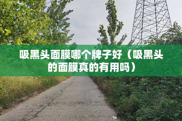 吸黑头面膜哪个牌子好（吸黑头的面膜真的有用吗）