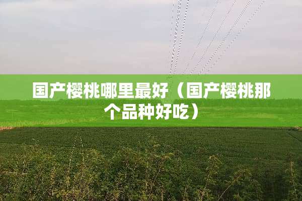 国产樱桃哪里最好(国产樱桃那个品种好吃)