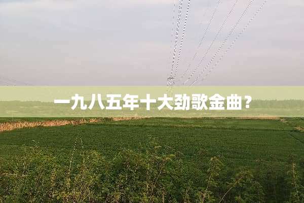 一九八五年十大劲歌金曲？