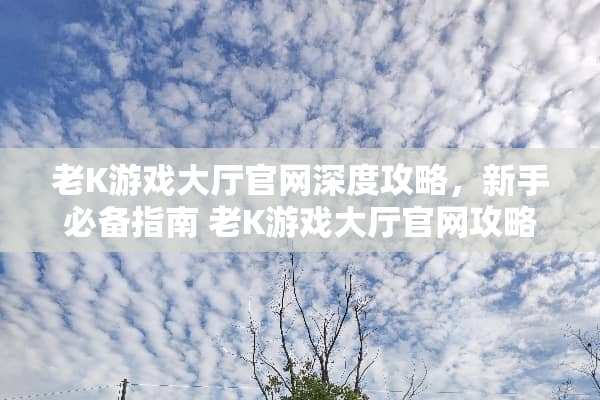 老K游戏大厅官网深度攻略,新手必备指南 老K游戏大厅官网攻略