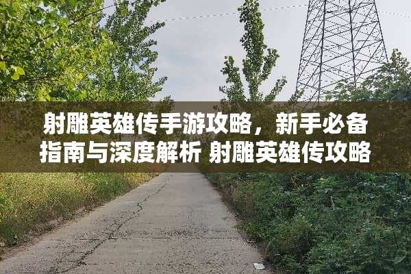 射雕英雄传手游攻略,新手必备指南与深度解析 射雕英雄传攻略 射雕英雄传手游攻略,新手必备指南与深度解析 射雕英雄传攻略