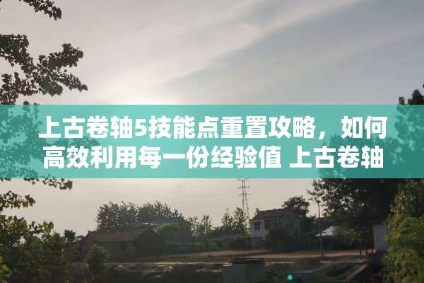 上古卷轴5技能点重置攻略，如何高效利用每一份经验值 上古卷轴5技能点重置