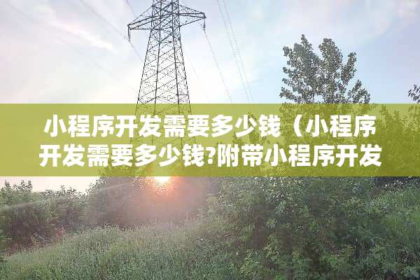 小程序开发需要多少钱(小程序开发需要多少钱?附带小程序开发流程) 小程序开发需要多少钱(小程序开发需要多少钱?附带小程序开发流程)