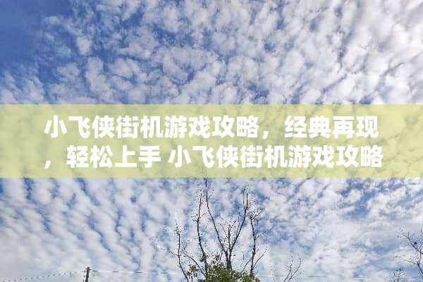小飞侠街机游戏攻略，经典再现，轻松上手 小飞侠街机游戏攻略