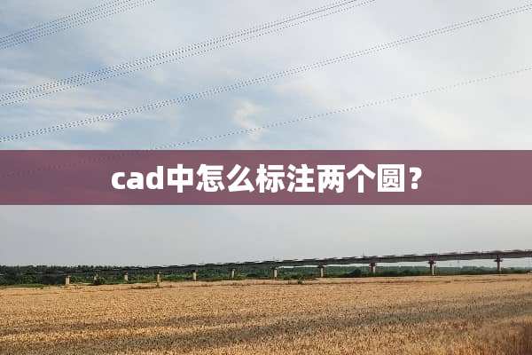 cad中怎么标注两个圆？