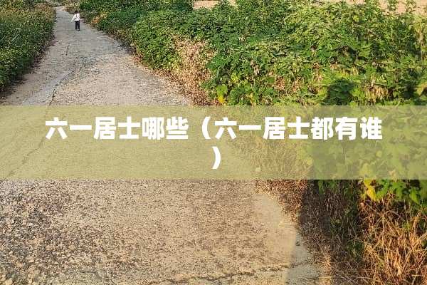 六一居士哪些(六一居士都有谁) 六一居士哪些(六一居士都有谁)