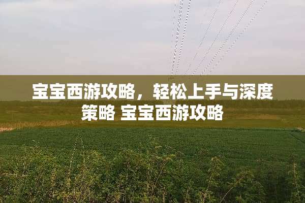 宝宝西游攻略，轻松上手与深度策略 宝宝西游攻略