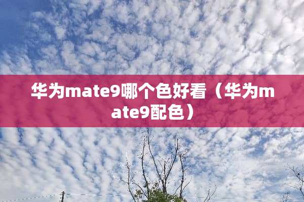 华为mate9哪个色好看（华为mate9配色）
