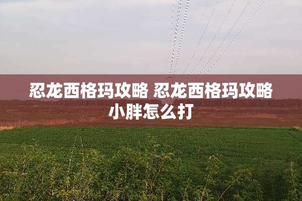 忍龙西格玛攻略 忍龙西格玛攻略小胖怎么打
