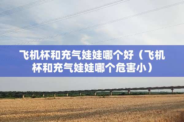 飞机杯和***娃哪个好（飞机杯和***娃哪个危害小）