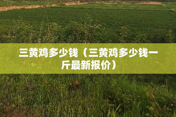 三黄鸡多少钱（三黄鸡多少钱一斤最新报价）