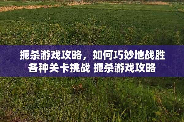 扼杀游戏攻略，如何巧妙地战胜各种关卡挑战 扼杀游戏攻略