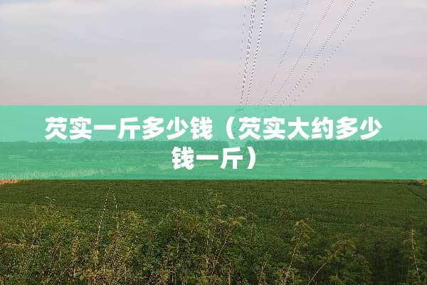 芡实一斤多少钱(芡实大约多少钱一斤) 芡实一斤多少钱(芡实大约多少钱一斤)