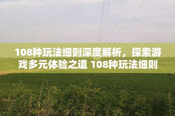 108种玩法细则深度解析,探索游戏多元体验之道 108种玩法细则 108种玩法细则深度解析,探索游戏多元体验之道 108种玩法细则