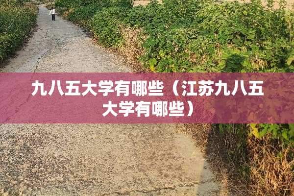 九八五大学有哪些（江苏九八五大学有哪些）