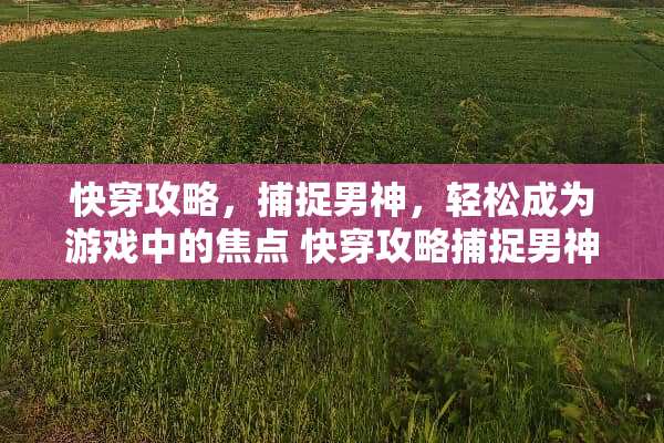 快穿攻略，捕捉男神，轻松成为游戏中的焦点 快穿攻略捕捉男神