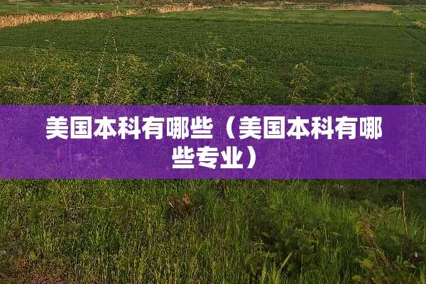 美国本科有哪些(美国本科有哪些专业) 美国本科有哪些(美国本科有哪些专业)