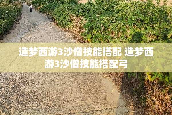 造梦西游3沙僧技能搭配 造梦西游3沙僧技能搭配弓