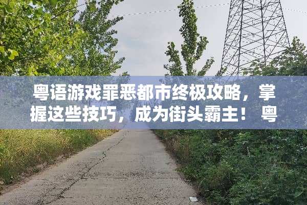 粤语游戏罪恶都市终极攻略，掌握这些技巧，成为街头霸主！ 粤语游戏罪恶都市攻略