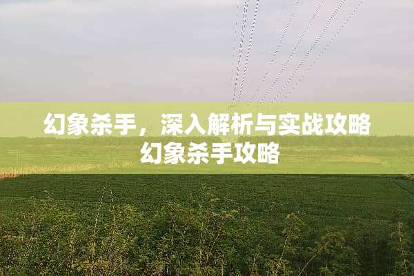 幻象**,深入解析与实战攻略 幻象**攻略 幻象**,深入解析与实战攻略 幻象**攻略