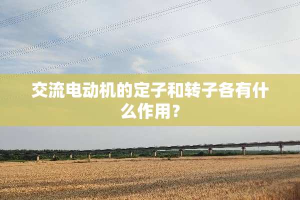交流电动机的定子和转子各有什么作用？