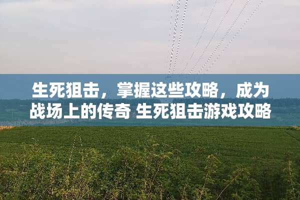 生死**,掌握这些攻略,成为战场上的传奇 生死**游戏攻略 生死**,掌握这些攻略,成为战场上的传奇 生死**游戏攻略