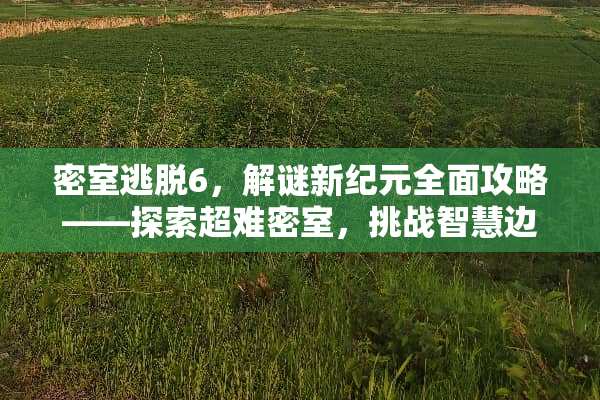 密室逃脱6,解谜新纪元全面攻略——探索超难密室,挑战智慧边界 密室逃脱6游戏攻略 密室逃脱6,解谜新纪元全面攻略——探索超难密室,挑战智慧边界 密室逃脱6游戏攻略