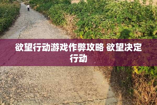 **行动游戏作弊攻略**决定行动 **行动游戏作弊攻略**决定行动