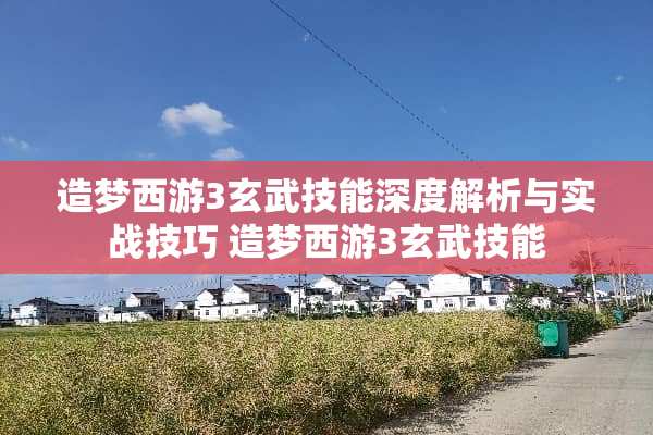 造梦西游3玄武技能深度解析与实战技巧 造梦西游3玄武技能 造梦西游3玄武技能深度解析与实战技巧 造梦西游3玄武技能