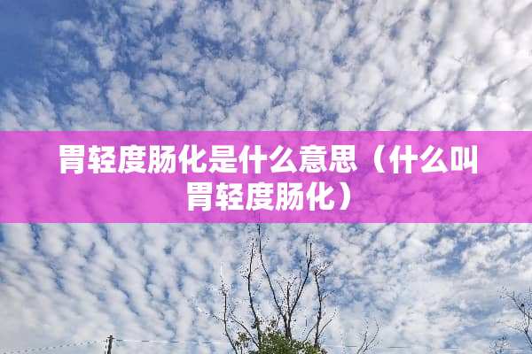 胃轻度肠化是什么意思(什么叫胃轻度肠化) 胃轻度肠化是什么意思(什么叫胃轻度肠化)