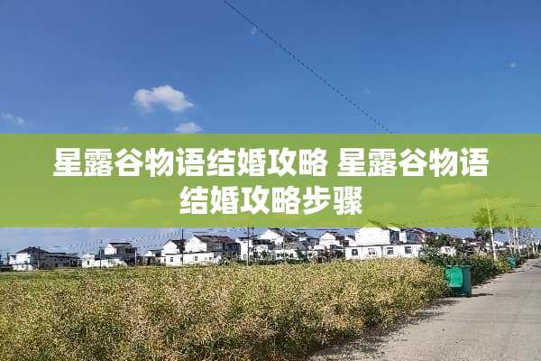 星露谷物语结婚攻略 星露谷物语结婚攻略步骤 星露谷物语结婚攻略 星露谷物语结婚攻略步骤